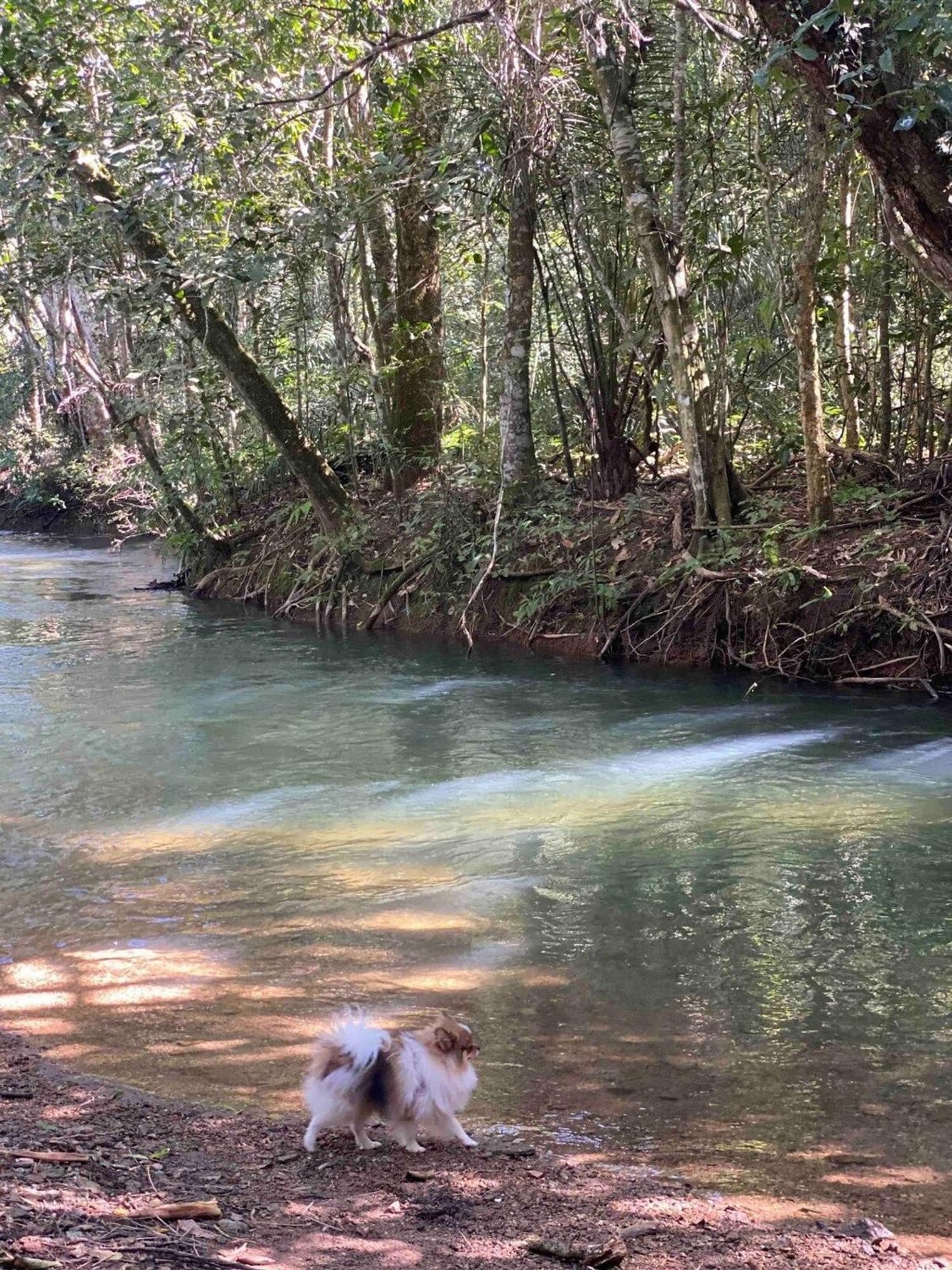 Chalet Pocoo Com Rio Exclusivo Bonito (Mato Grosso do Sul)